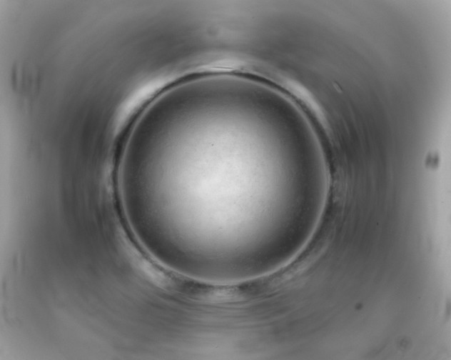 X0000092061464200709121345