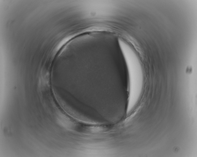 X0000092061465200709121345