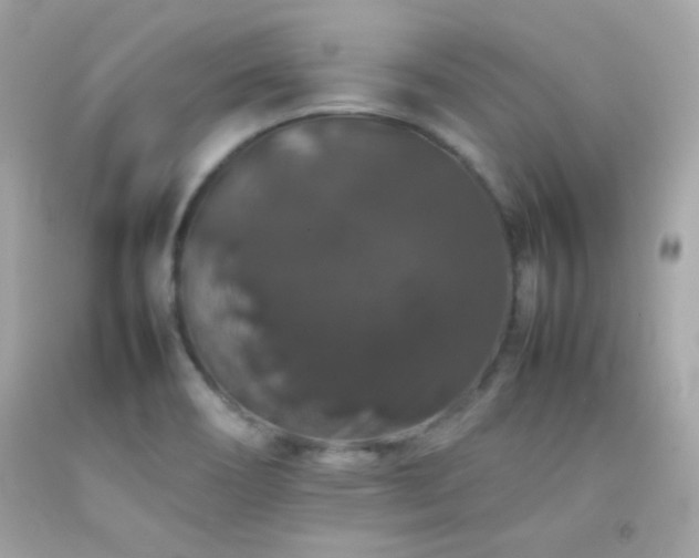X0000092061466200709121345