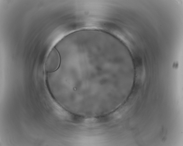 X0000092061467200709121345