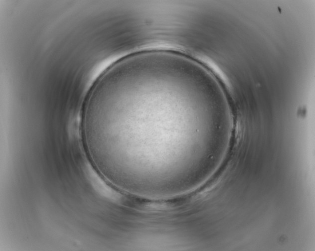 X0000092061468200709121345