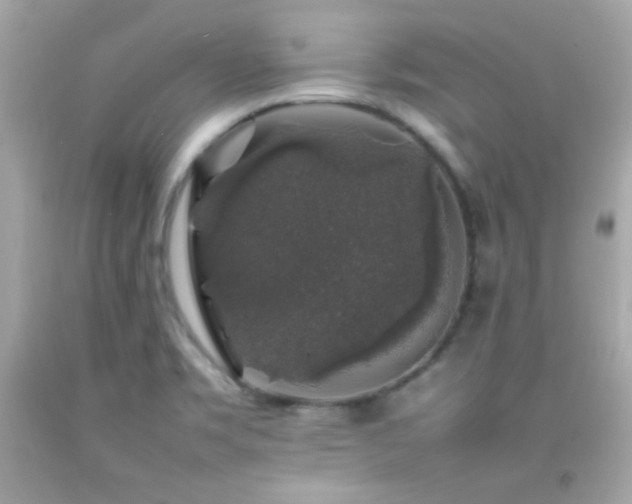 X0000092061469200709121345