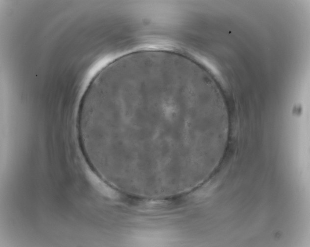 X0000092061471200709121345