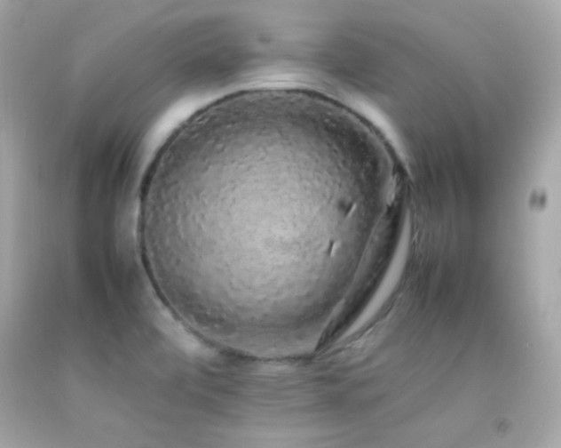 X0000092061472200709121345