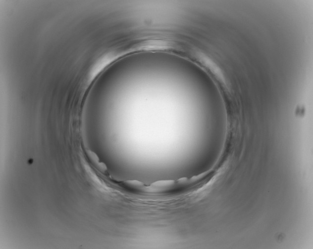 X0000092061473200709121345