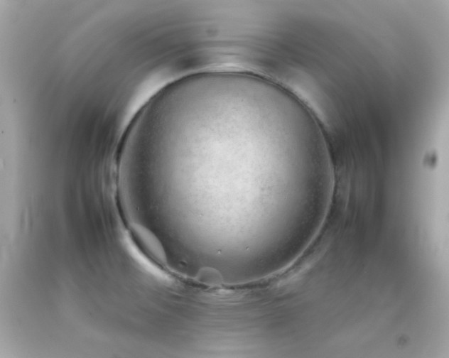 X0000092061476200709121345