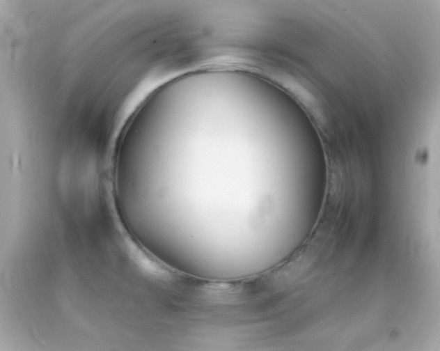 X0000092061478200709121345