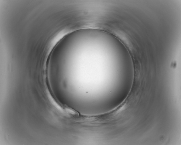 X0000092061479200709121345