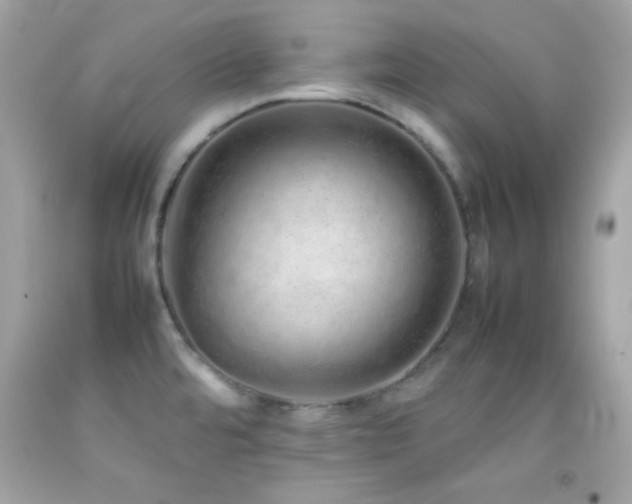X0000092061480200709121345