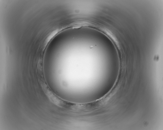 X0000092061481200709121345