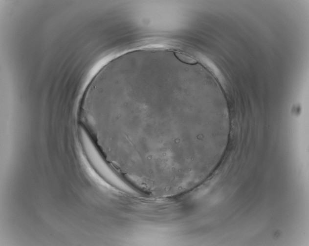 X0000092061483200709121345