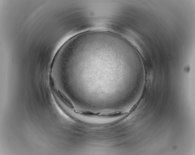 X0000092061484200709121345