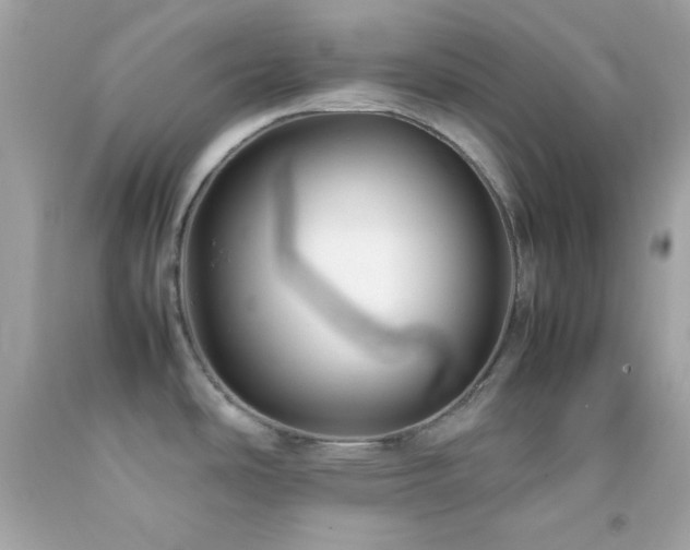 X0000092061486200709121345
