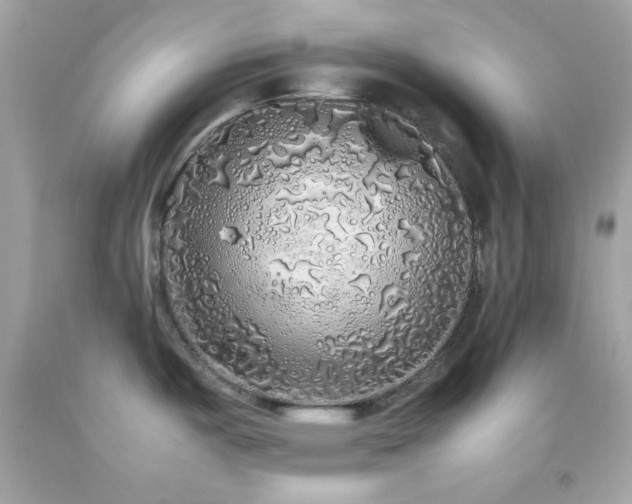 X0000092061487200709121345