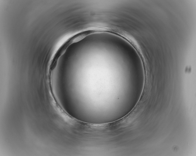 X0000092061488200709121345