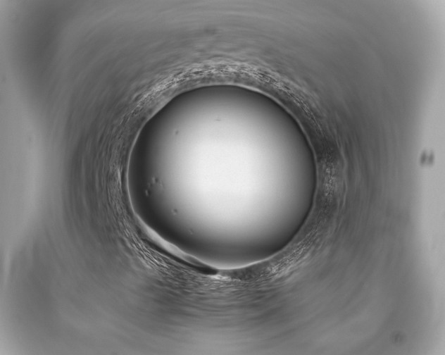 X0000092061489200709121344