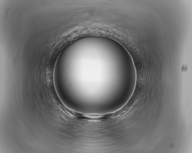 X0000092061490200709121344