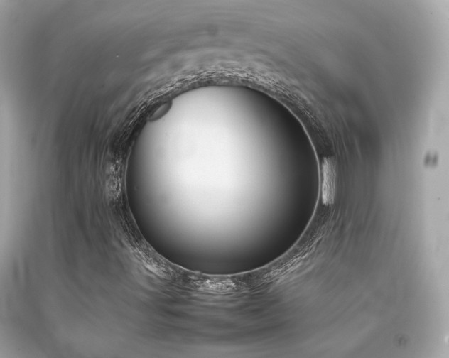 X0000092061491200709121344