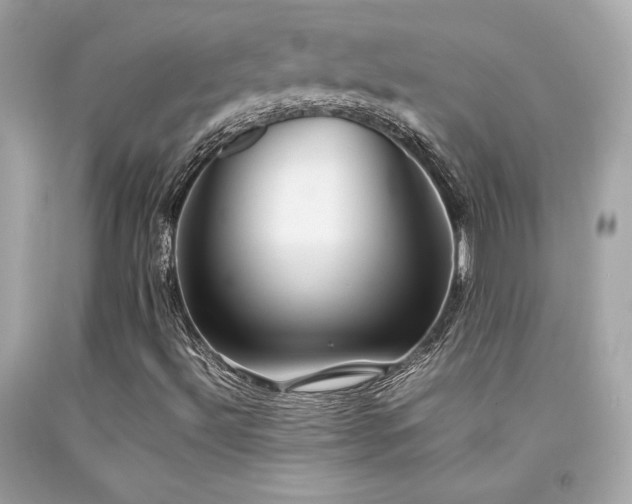 X0000092061492200709121344