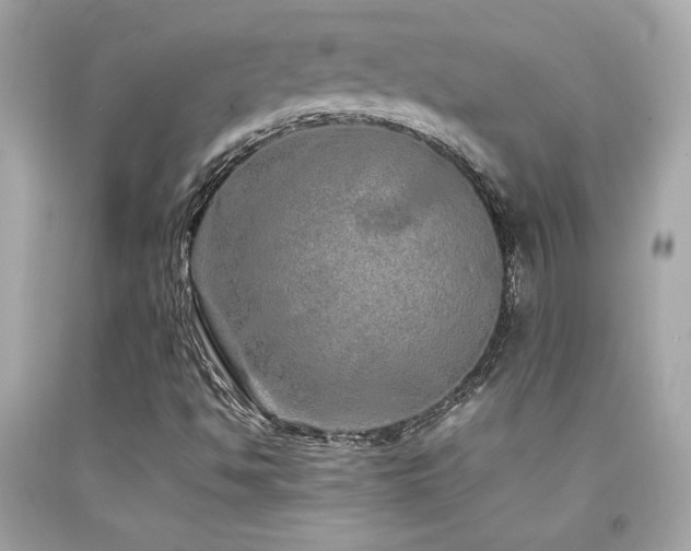 X0000092061494200709121344