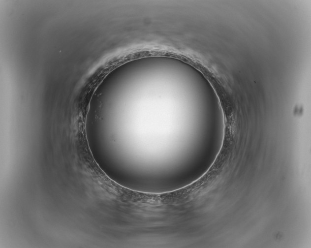 X0000092061495200709121344