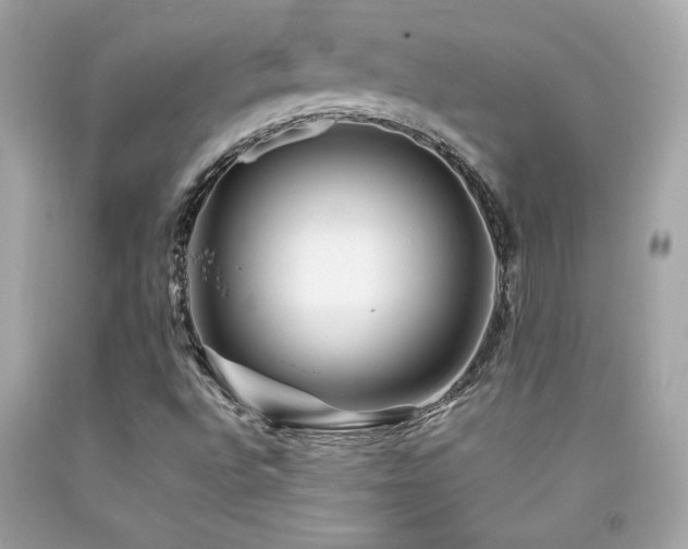 X0000092061496200709121344