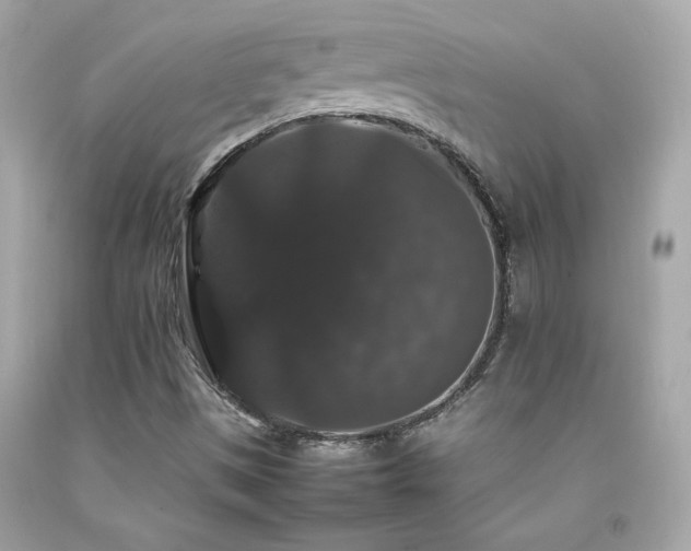 X0000092061497200709121344