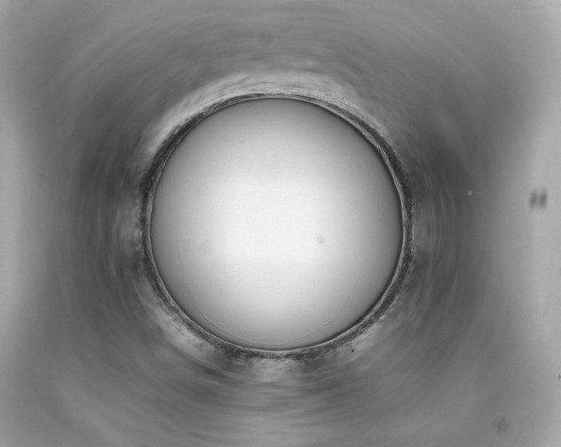 X0000092061498200709121344