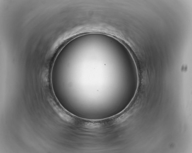 X0000092061499200709121344
