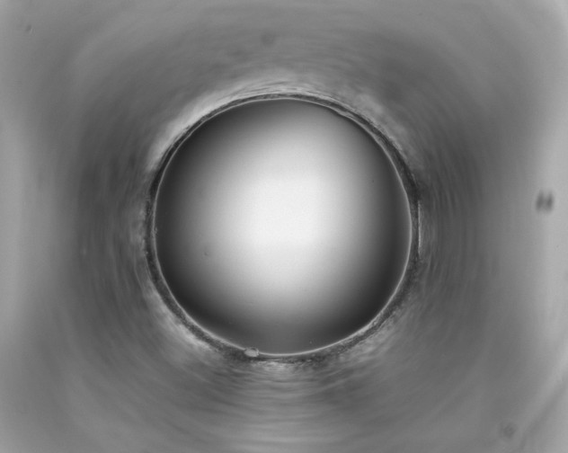 X0000092061500200709121344