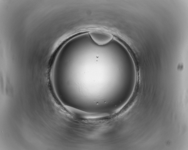 X0000092061501200709121344