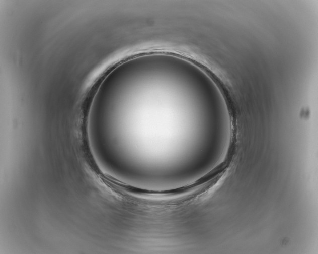 X0000092061502200709121344