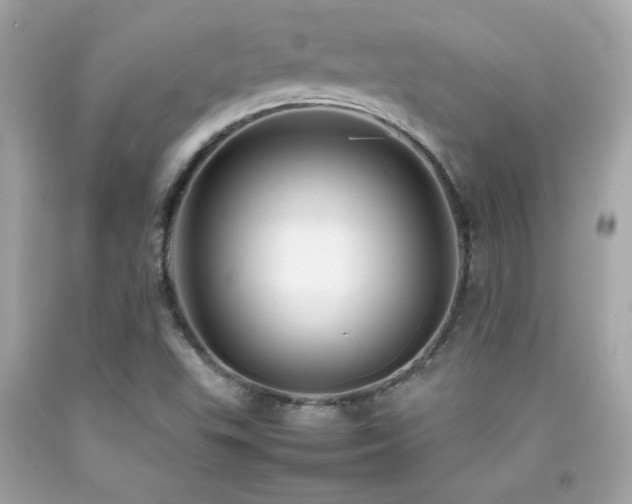 X0000092061503200709121344
