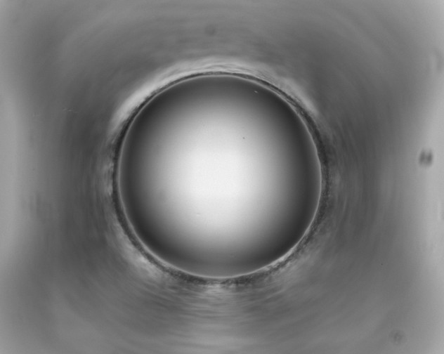 X0000092061504200709121344