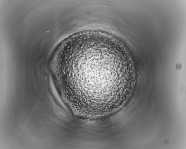 X0000092061505200709121344