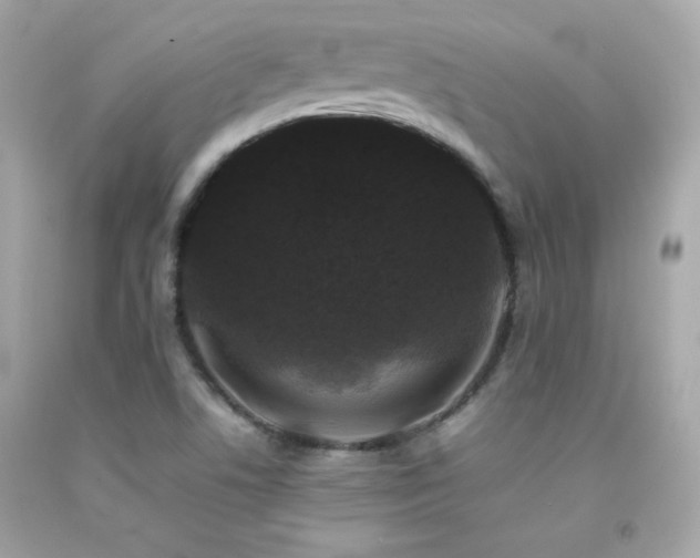 X0000092061506200709121344