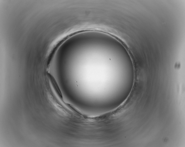X0000092061507200709121344