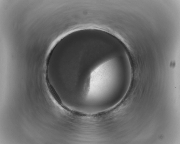 X0000092061508200709121344