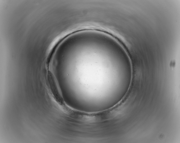 X0000092061509200709121344