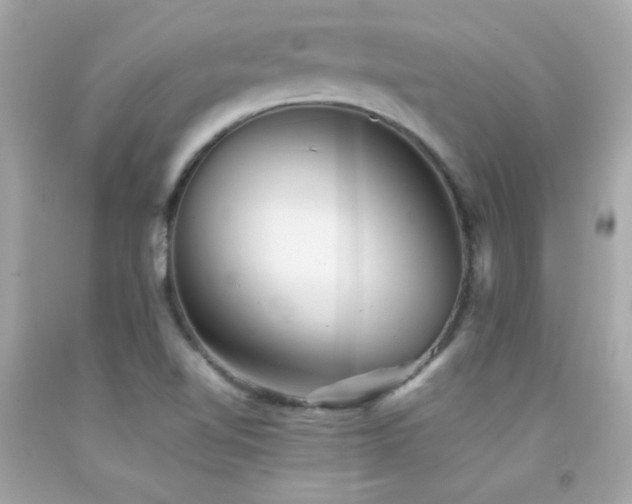 X0000092061510200709121344