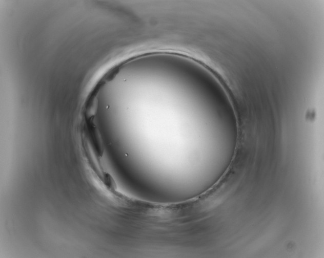 X0000092061511200709121344