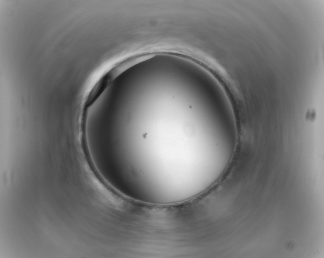 X0000092061512200709121344