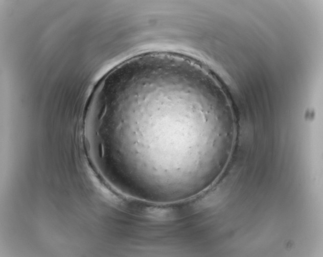 X0000092061513200709121344