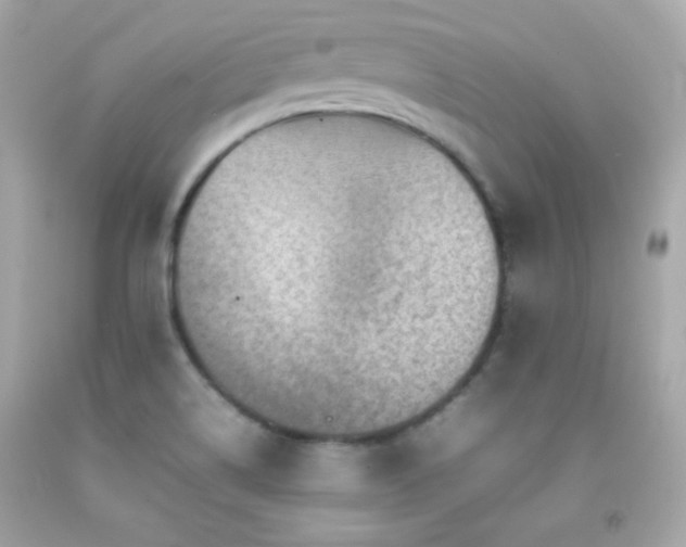 X0000092061514200709121344