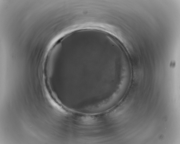 X0000092061515200709121344