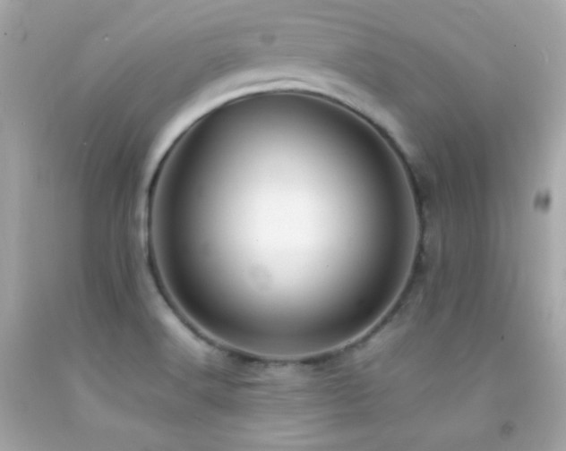X0000092061516200709121344