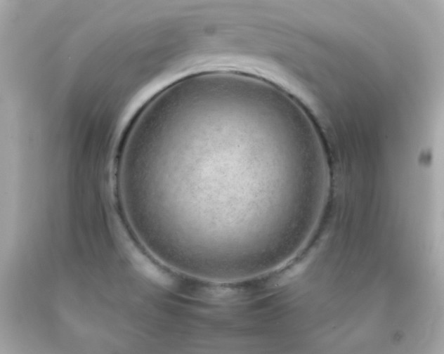 X0000092061517200709121344