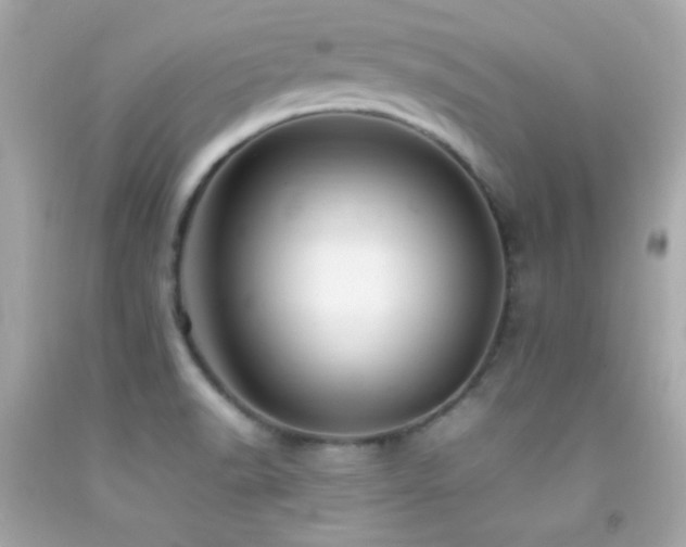 X0000092061518200709121344