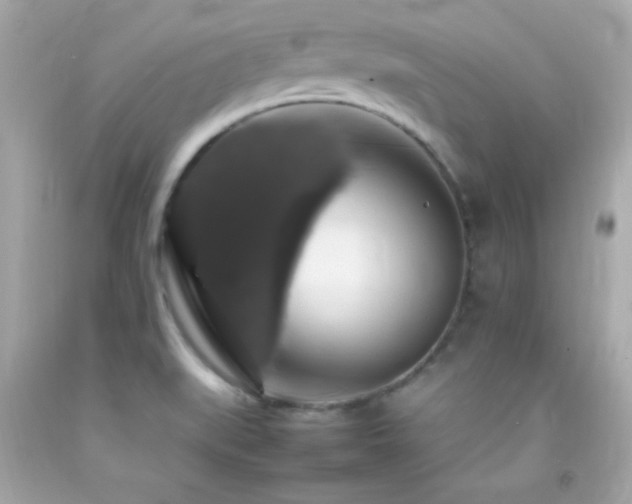 X0000092061519200709121344