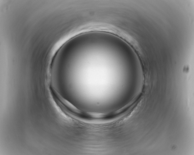 X0000092061520200709121344